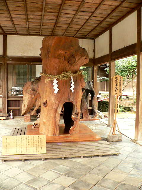 伊太祁曽神社 木の俣くぐり写真