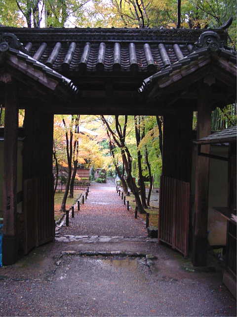 京都 地蔵院 
