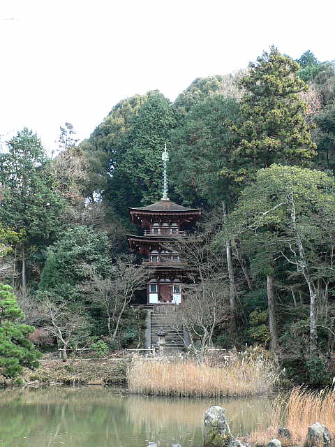 浄瑠璃寺 写真