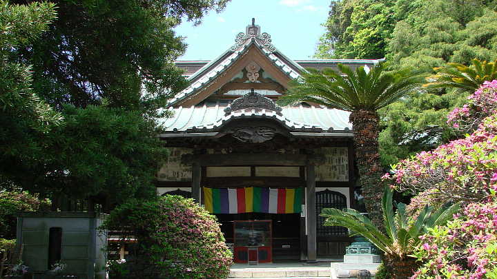 鎌倉　安養院　本堂　写真
