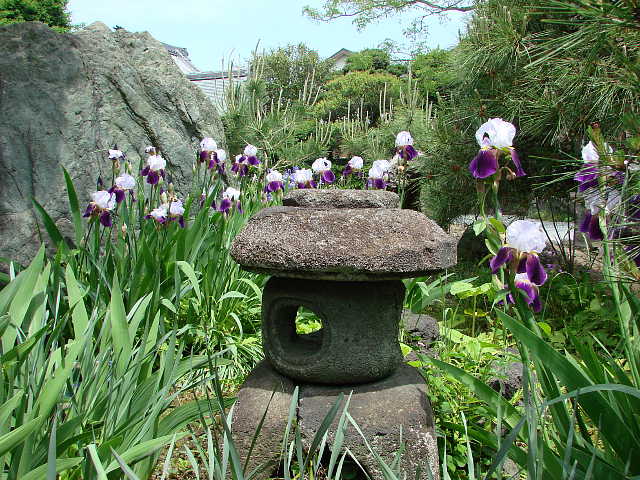 鎌倉　本覚寺  写真