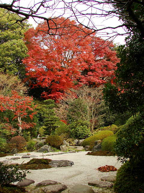 鎌倉五山　浄妙寺　喜泉庵の庭　写真