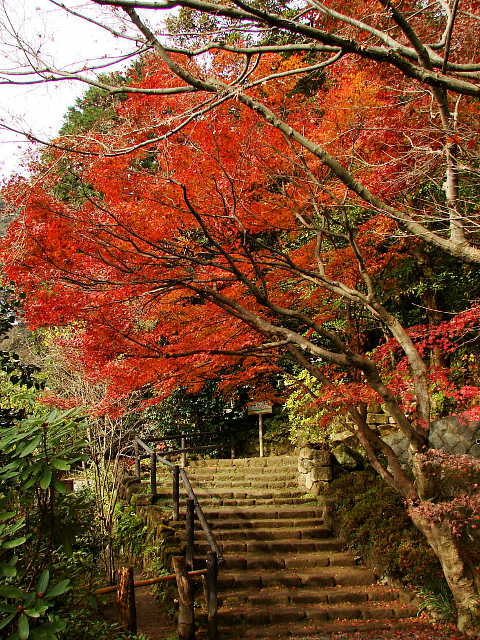 鎌倉五山　浄妙寺　紅葉　写真