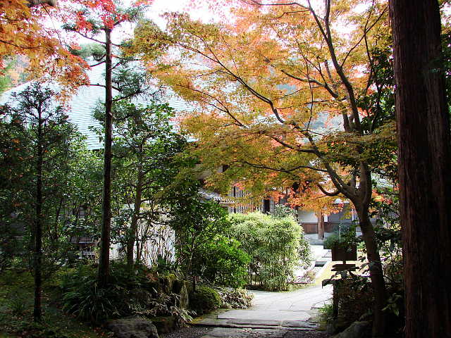 鎌倉五山　浄妙寺　写真