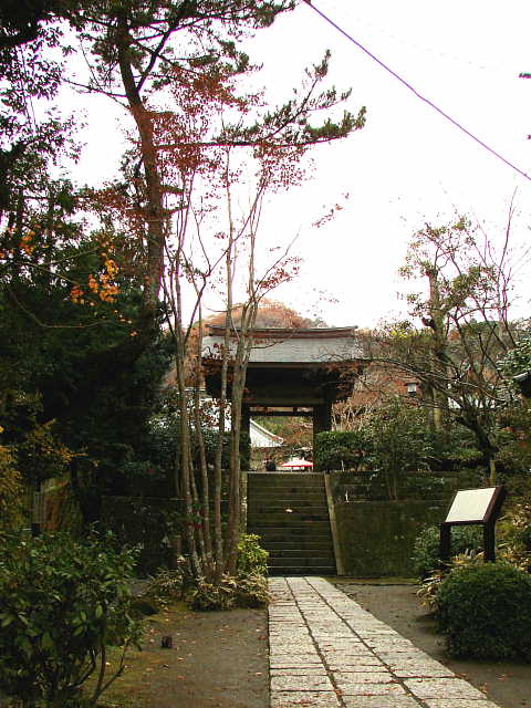 鎌倉 海蔵寺 写真