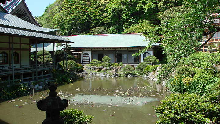 鎌倉　光明寺　記主庭園