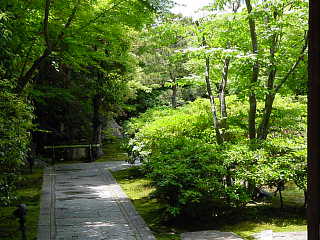 高台寺 圓徳院庭園 写真