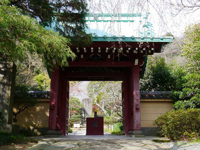 鎌倉　光則寺 写真
