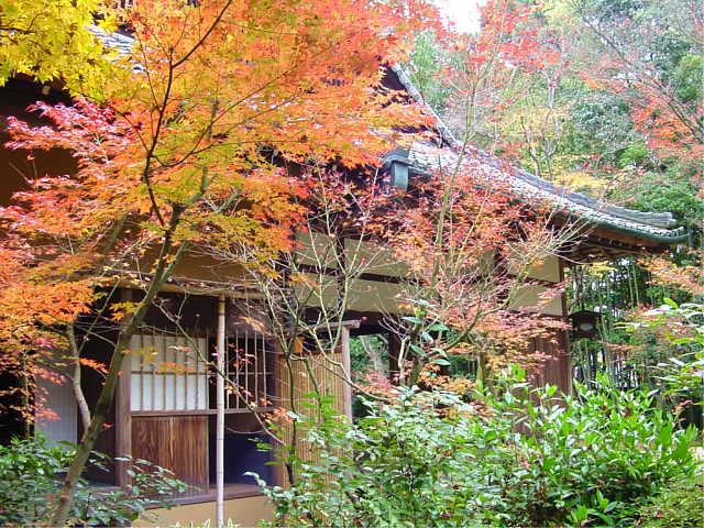 大徳寺　高桐院 写真