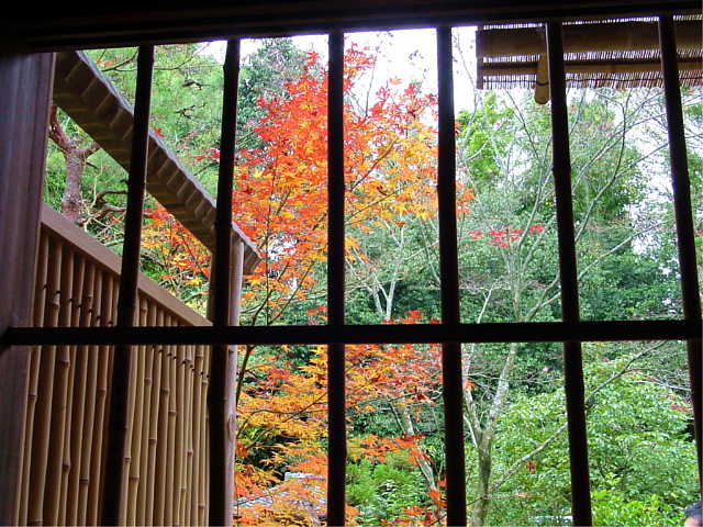 大徳寺　高桐院 松向軒（二畳台目茶室）からの紅葉 写真