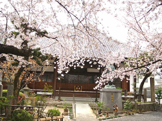京都　墨染寺 写真