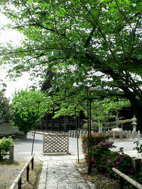 京都　本法寺 写真