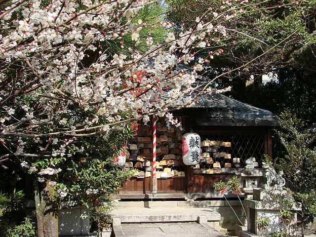 京都　幸神社と梅の花