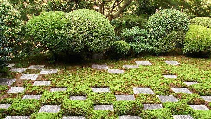 東福寺　方丈庭園　北庭 写真