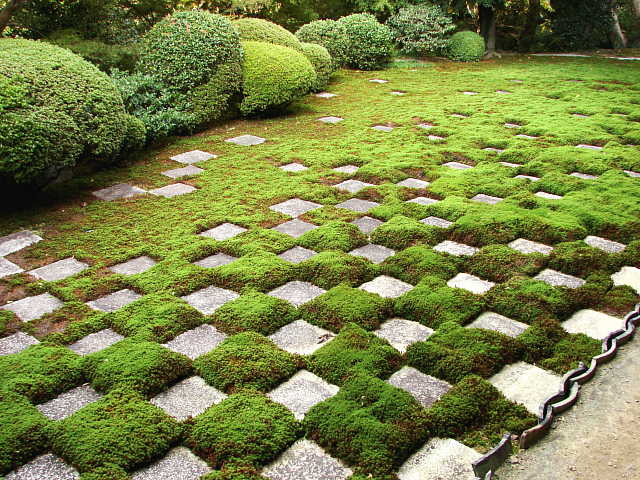 東福寺　方丈庭園 北庭（裏庭）写真