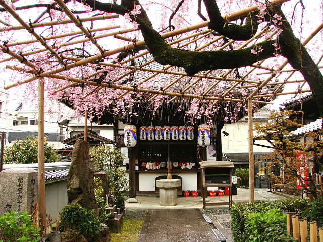 京都　地蔵院（椿寺） 地蔵堂 写真