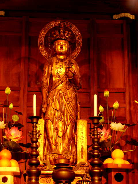 京都　地蔵院（椿寺） 十一面観世音菩薩像 写真