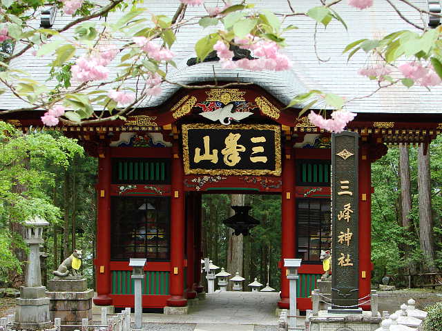 三峯神社 八重桜と随身門 写真