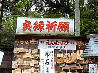 京都　野宮神社 写真