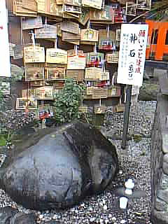 京都　野宮神社 写真