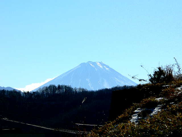 武田神社からの富士山 写真
