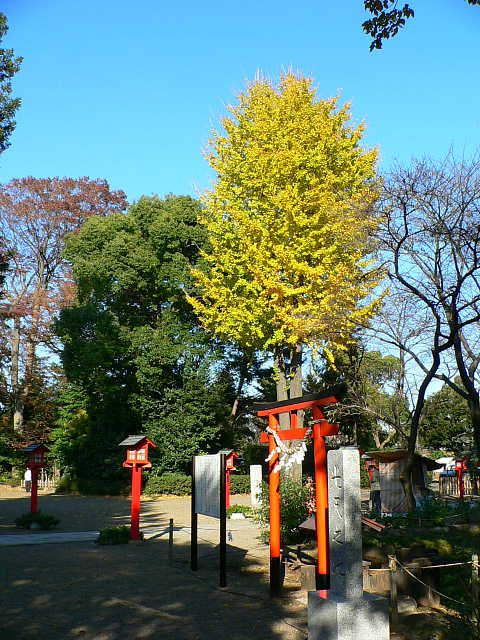 鷲宮神社 写真