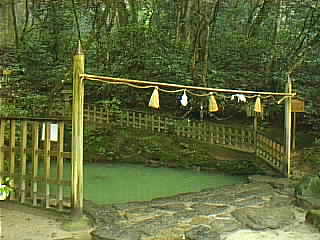 八重垣神社 鏡の池 写真